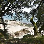 L'orchidée Marine, T2, 100m Et Du Commando Appartement